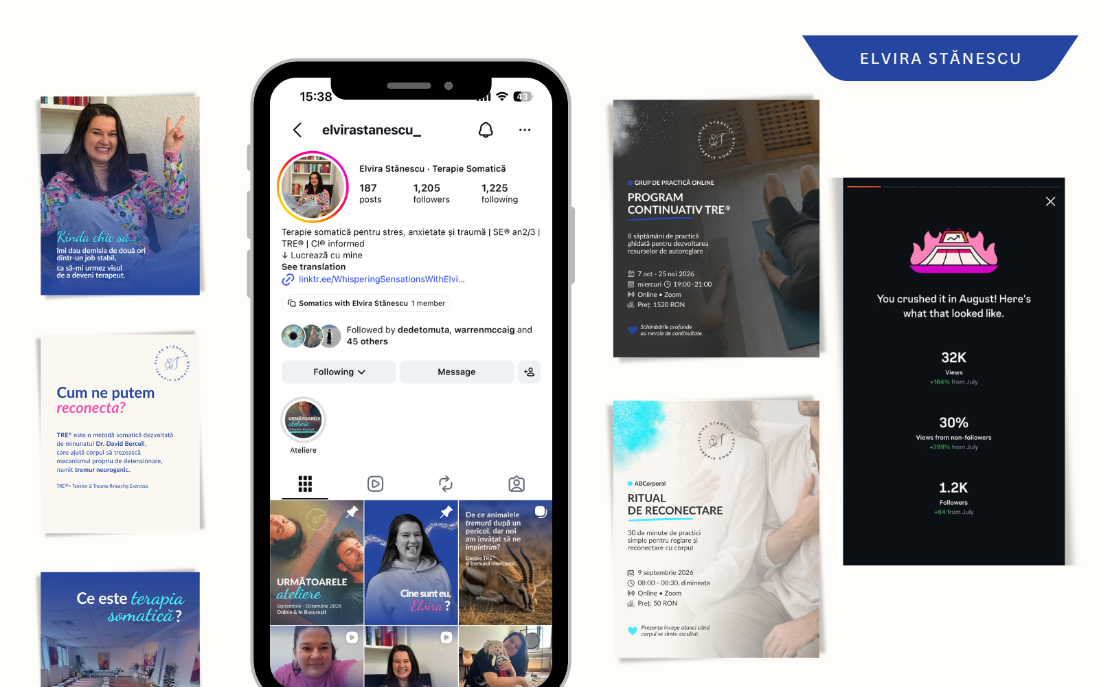 Elvira Stănescu project artwork showing social media content and analytics